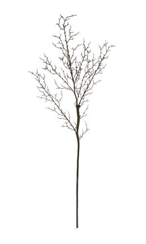 51" Twig Branch