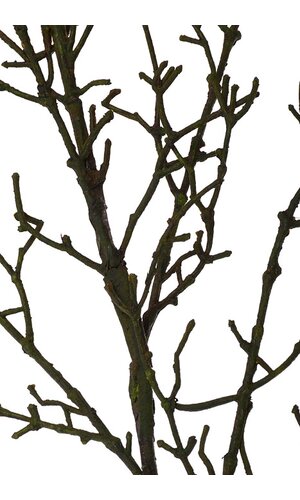 51" Twig Branch