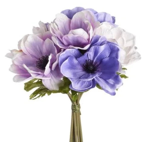 10" Anemone Bundle