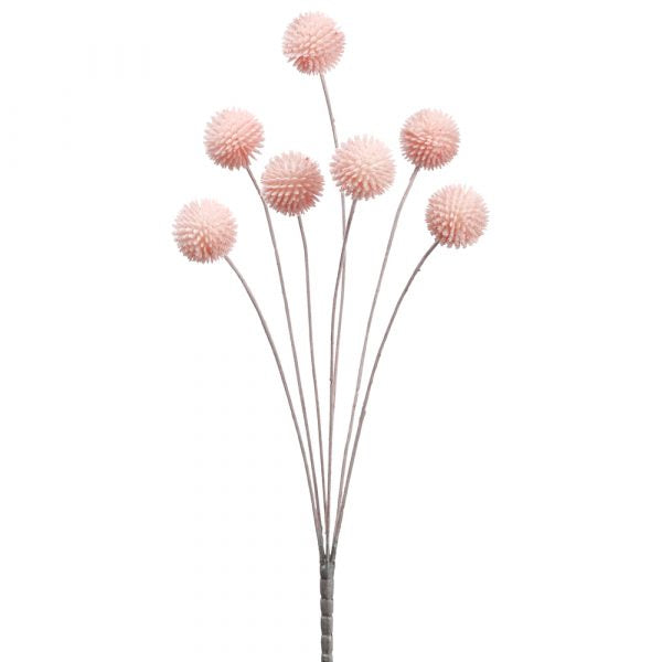 21" Billy Button Bundle