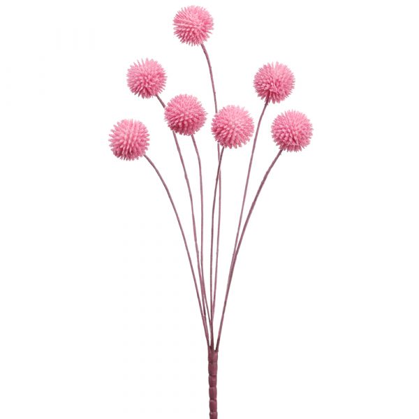 21" Billy Button Bundle