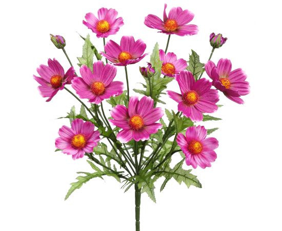 18" Cosmos Bush