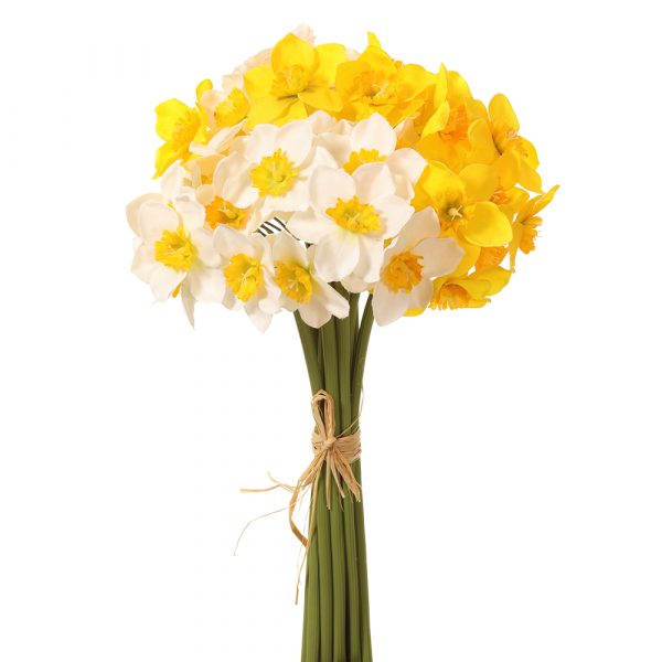 12" Daffodil Bundle