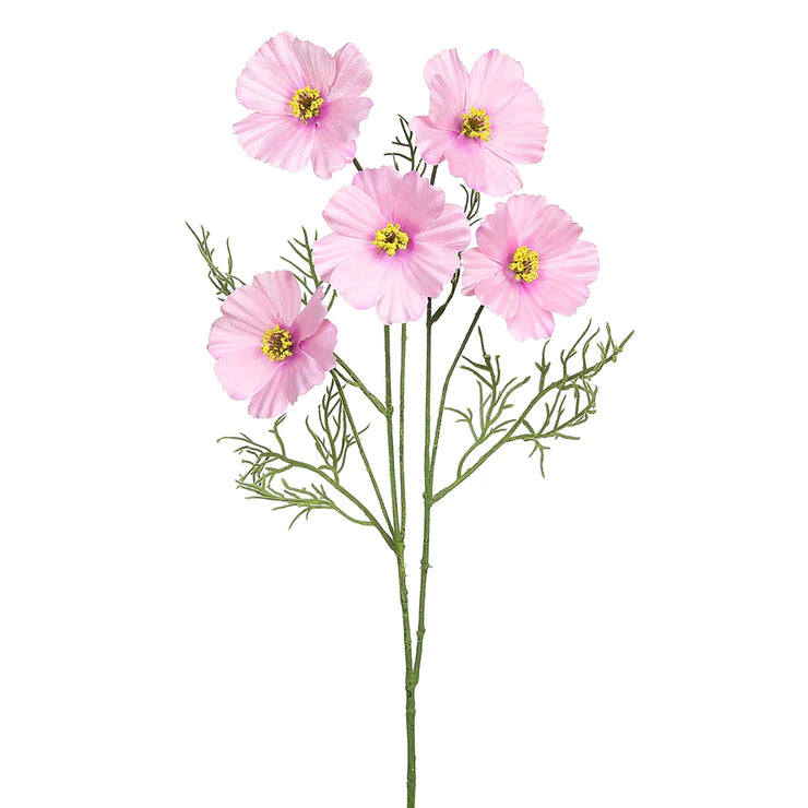 26" Cosmos Stem Pink
