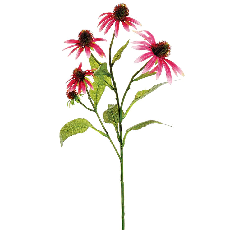 29" Echinacea Stem Cerise