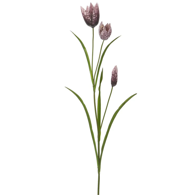 27" Fritillaria Stem Purple