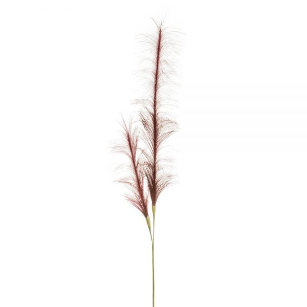 Copy of 49" Pampas Grass Stem Burgundy