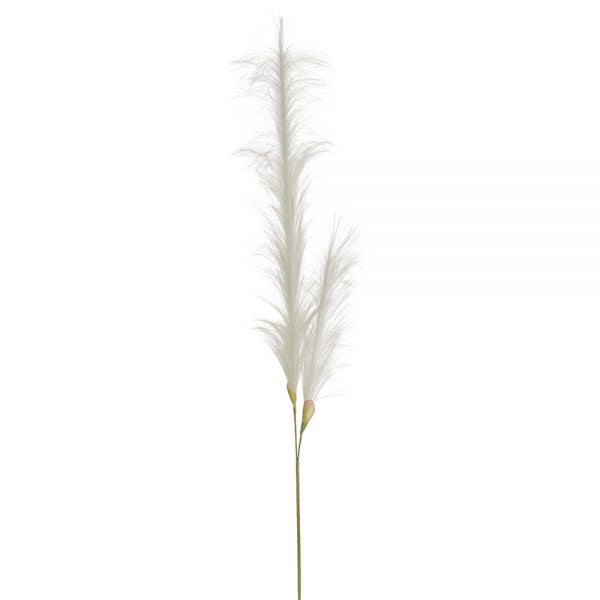 49" Pampas Grass Stem White