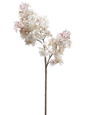 25" Lilac Stem  Pink Cream