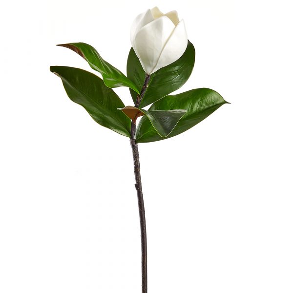 23" Magnolia Bud Stem Artificial
