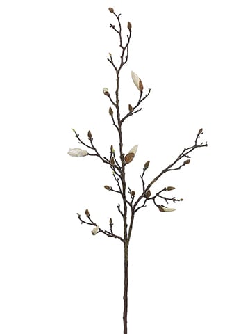 53" Magnolia Bud Branch White