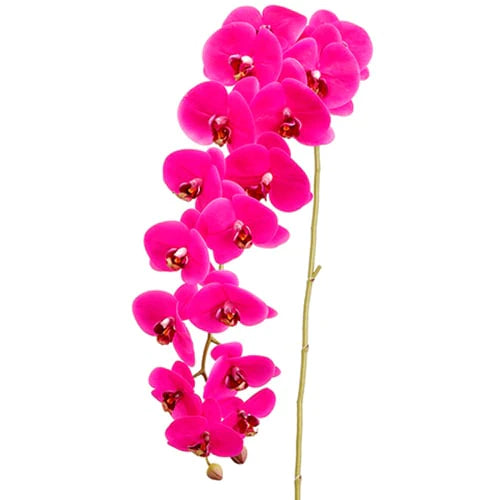 45" Phalaenopsis Orchid Stem Purple