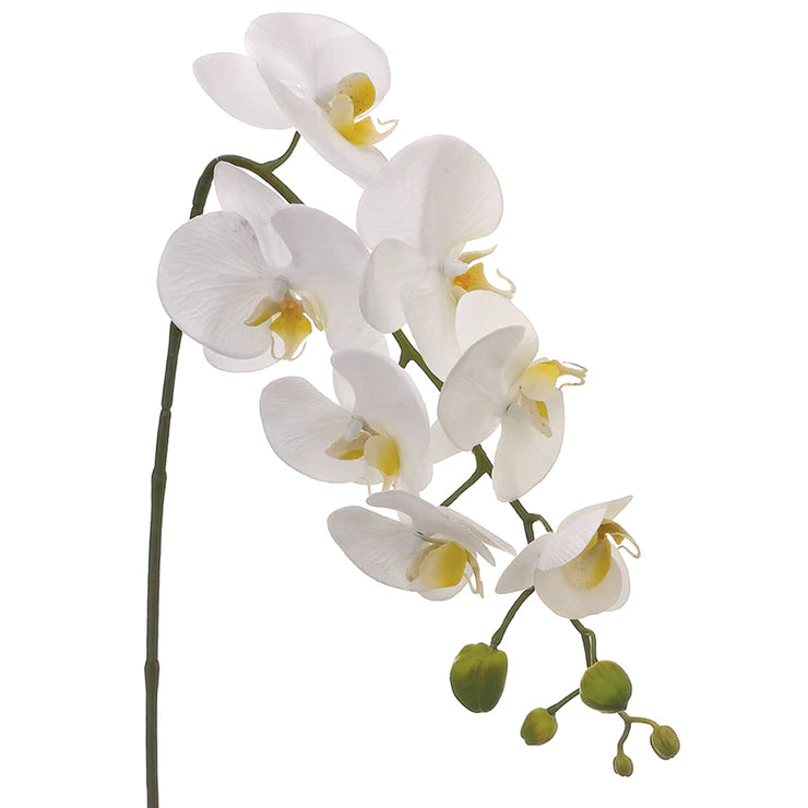 28.5" Phalaenopsis Orchid Stem White