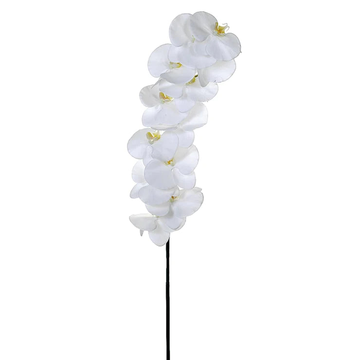 44.5" Phalaenopsis Orchid Stem White