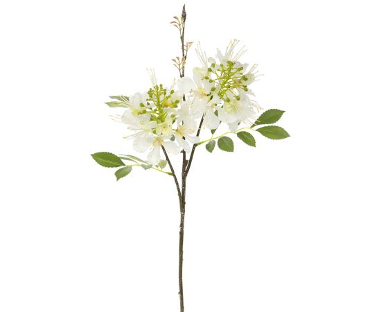 26" Paradise Flower Stem White