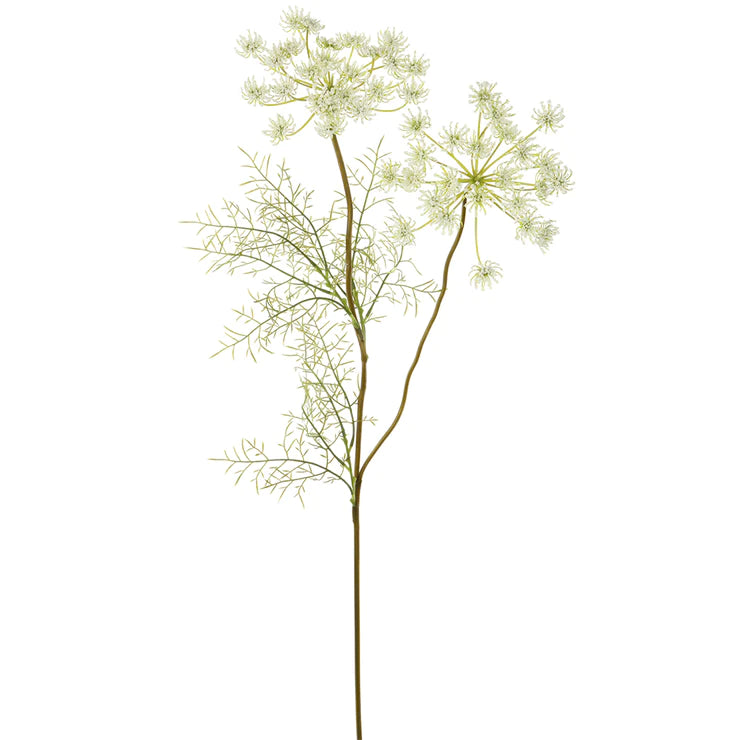 33" Queen Anne's Lace Stem  White