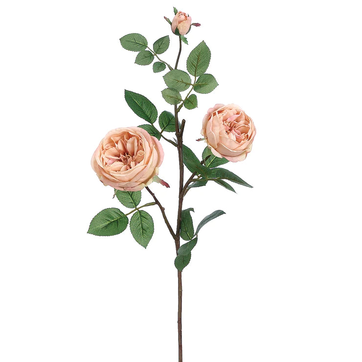 29" Cabbage Rose - Beige