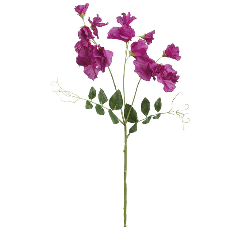 27" Sweetpea Stem Purple