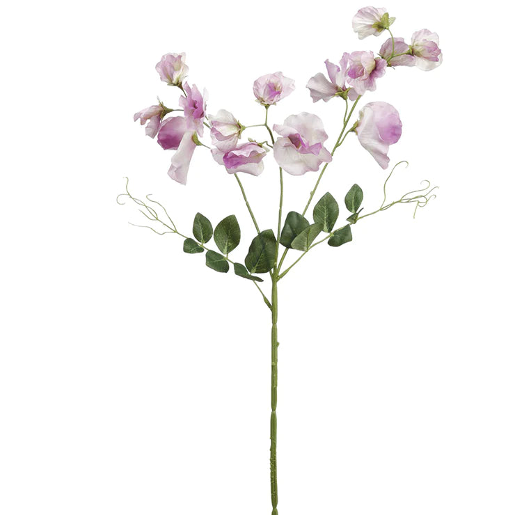 27" Sweetpea Stem White Lavender