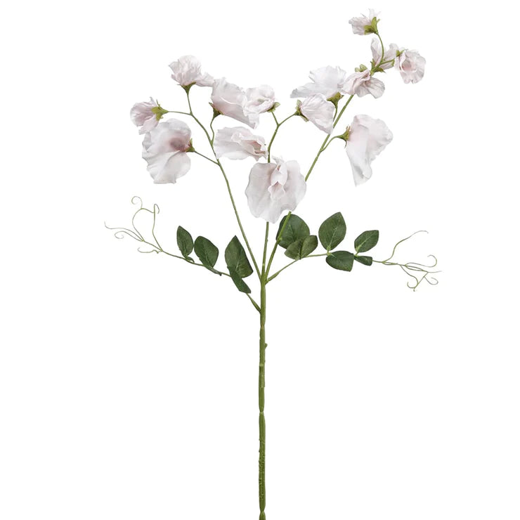 27" Sweetpea Stem White