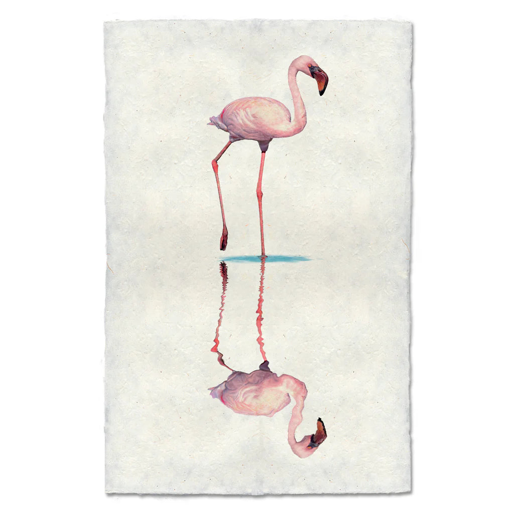 Flamingo1