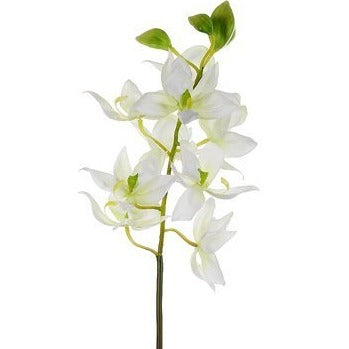 24" Swan Orchid Stem White