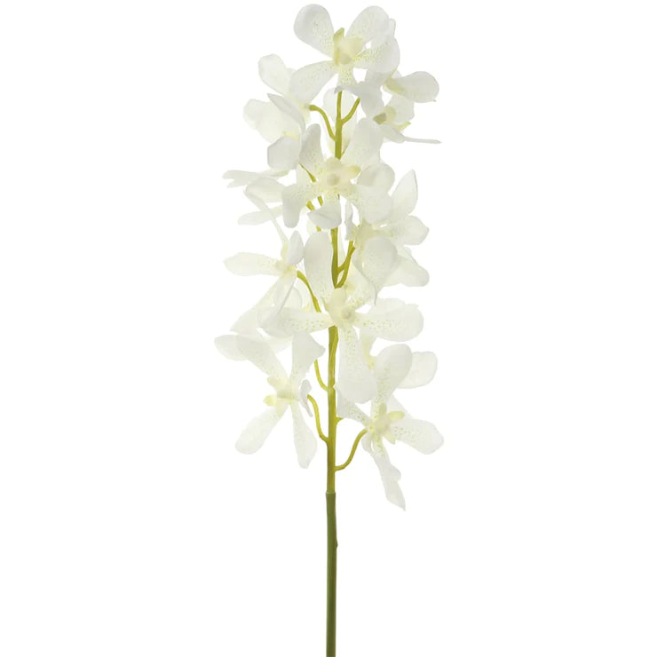 30" Vanda Orchid Stem - White