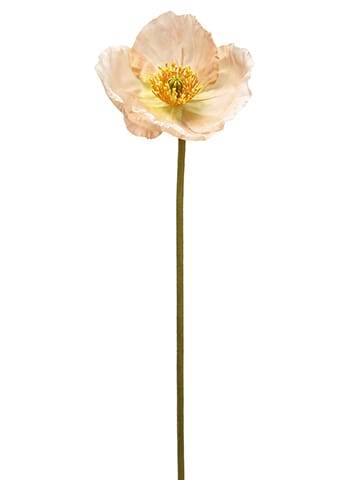 23" Poppy Stem Peach