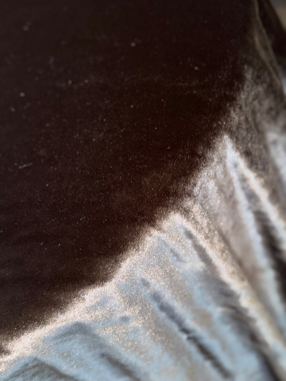 Black Crushed Velvet