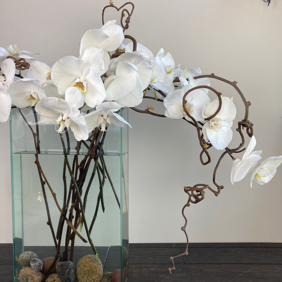 Orchids On The Vine