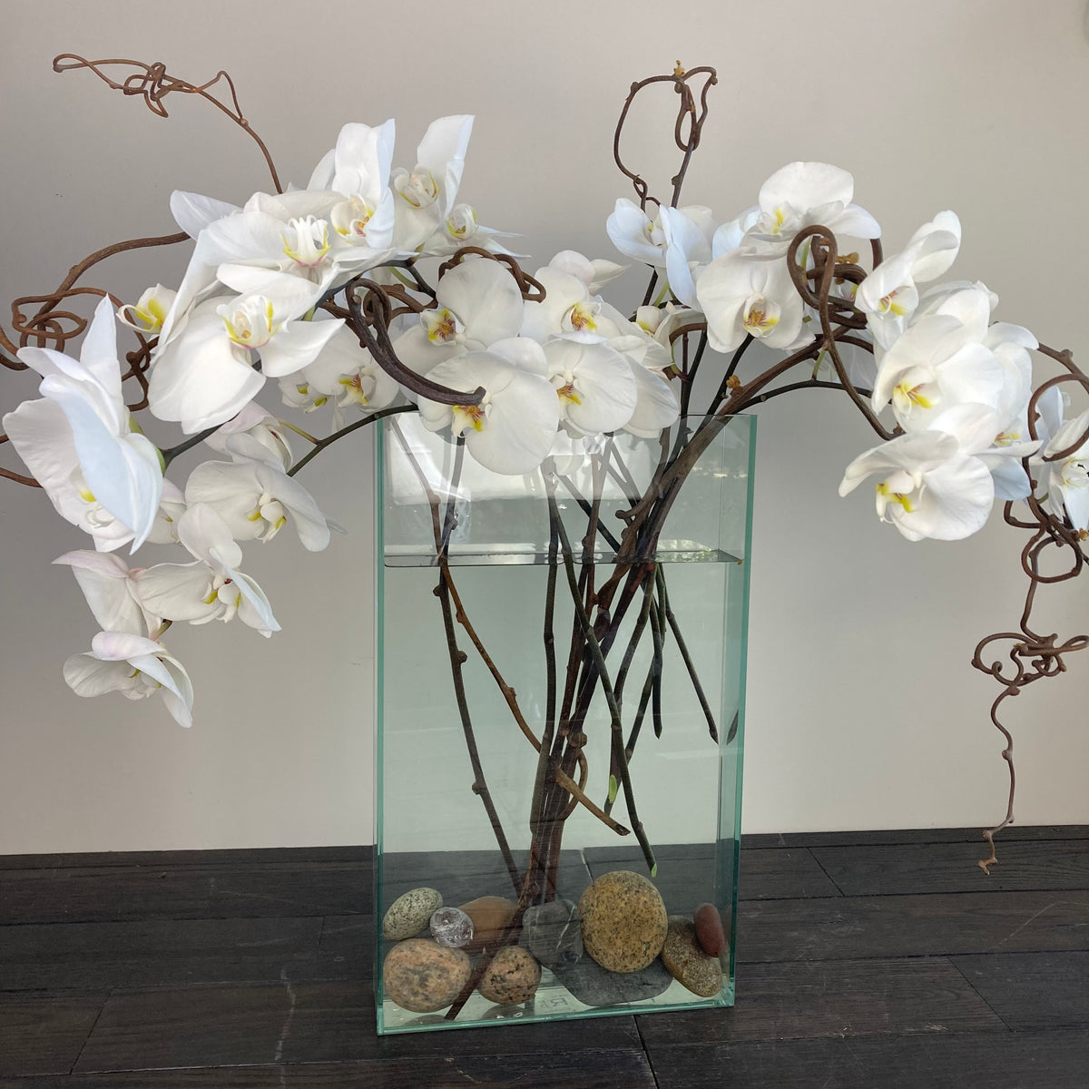 Orchids On The Vine