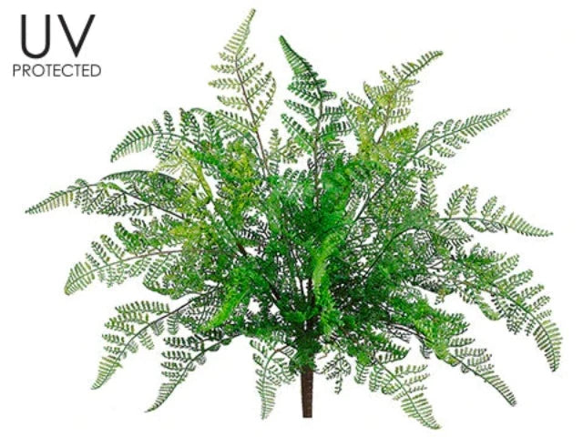 17" Leather Fern Plant Green