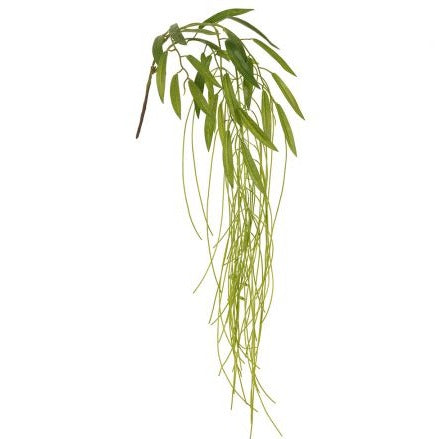 32" Eucalyptus Hanging Branch