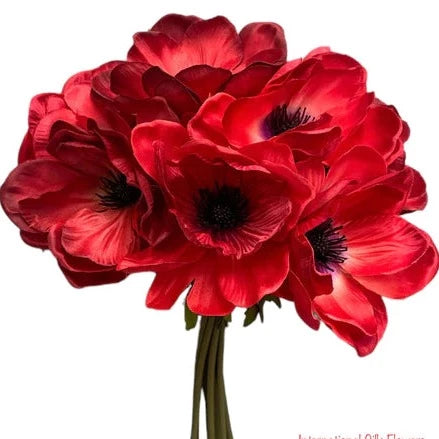 10" Anemone Bundle