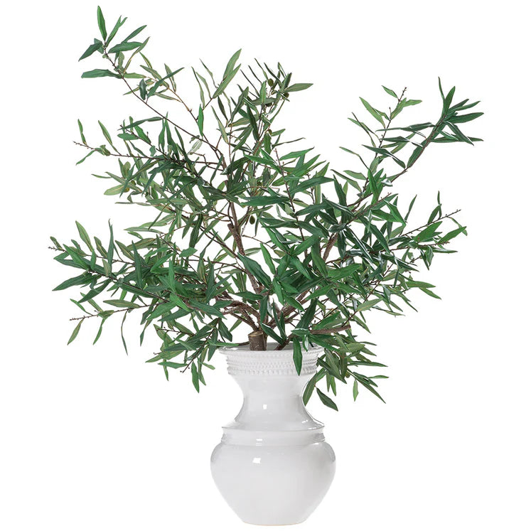 44" Olive Branch Arrangement