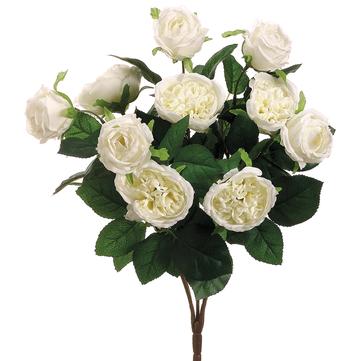 16" Cabbage Rose Bush Cream