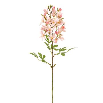 24.5" Cleome Stem Pink