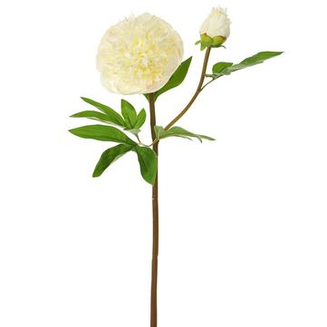 26" Peony Stem - White