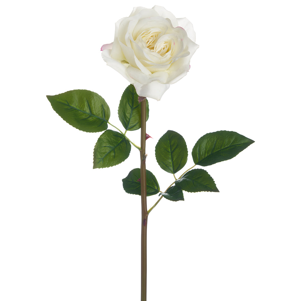 23.5" Rose Stem - White