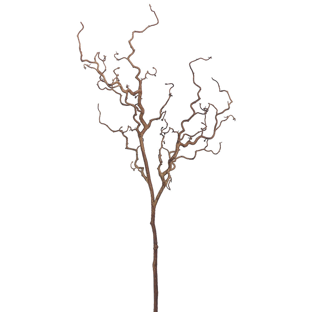 Dried Twig Spray