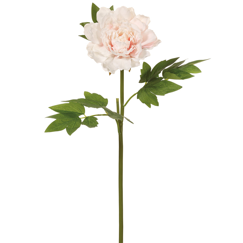 23.5" Blush Peony Stem