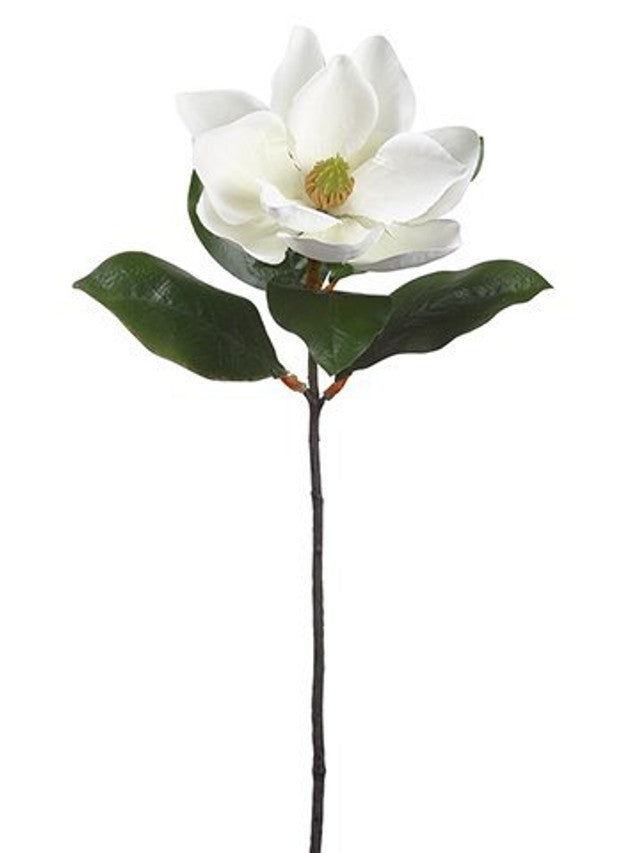 24" Magnolia Stem White