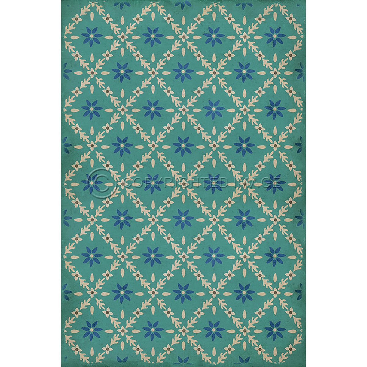 Naturalist Bartram 20x30