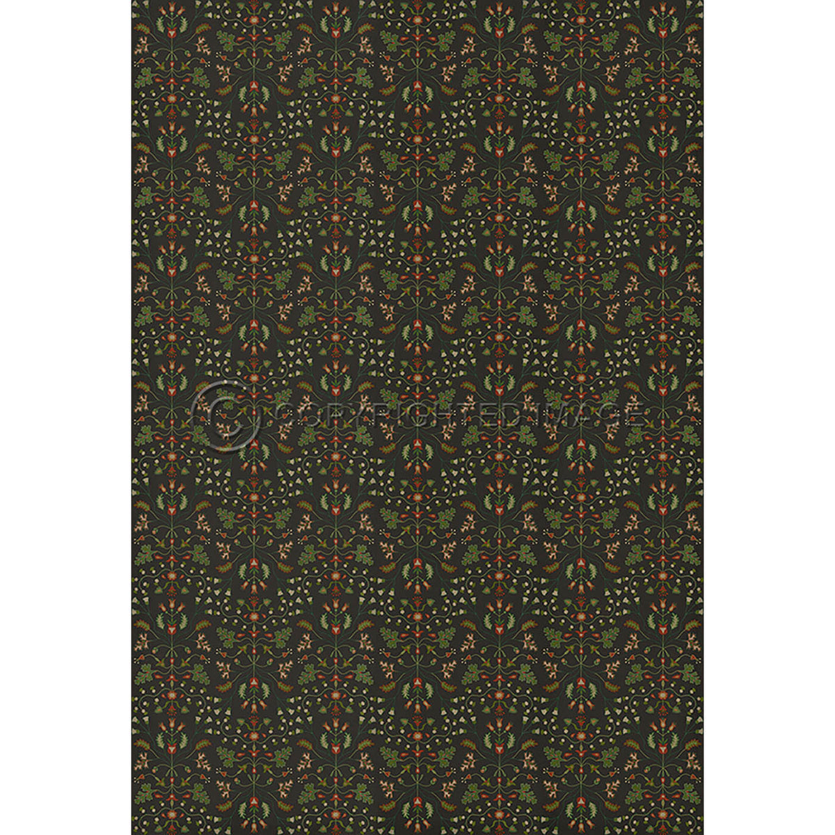 Franklin Afterwit 120x175