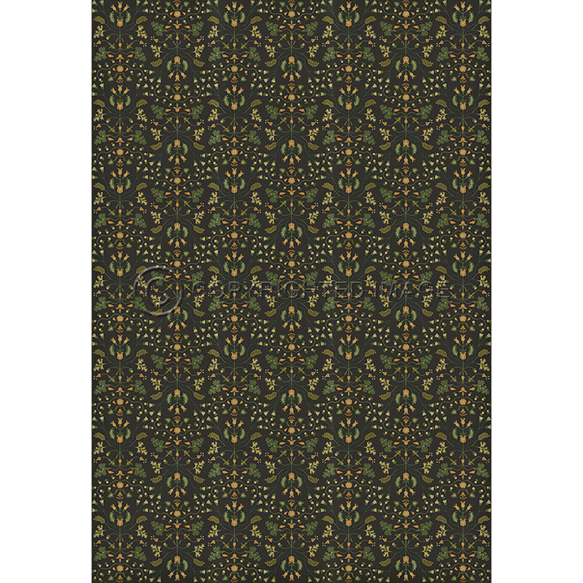 Franklin Benevolus 120x175