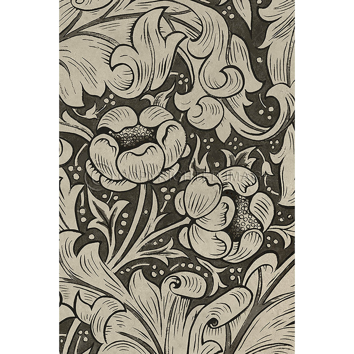 Bachelors Button Black and Linen 20x30