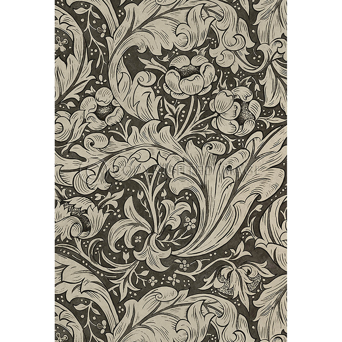 Bachelors Button Black and Linen 38x56