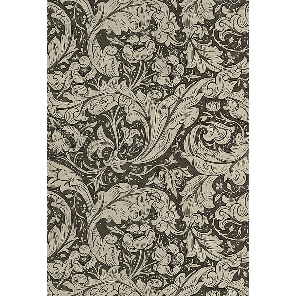 Bachelors Button Black and Linen 52x76