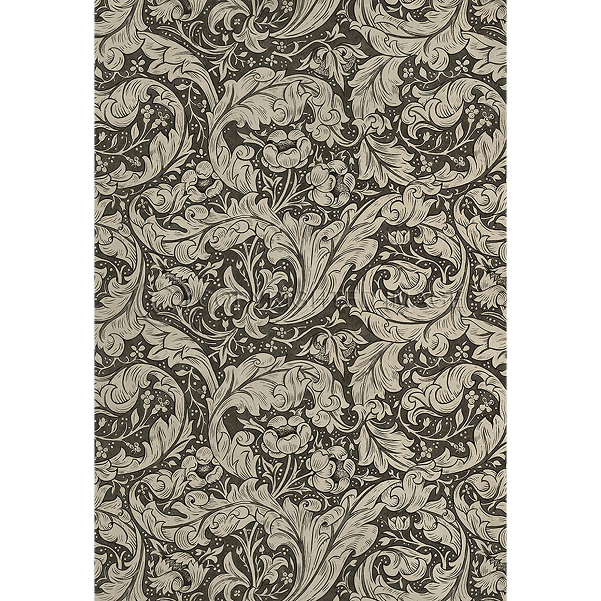 Bachelors Button Black and Linen 70x102