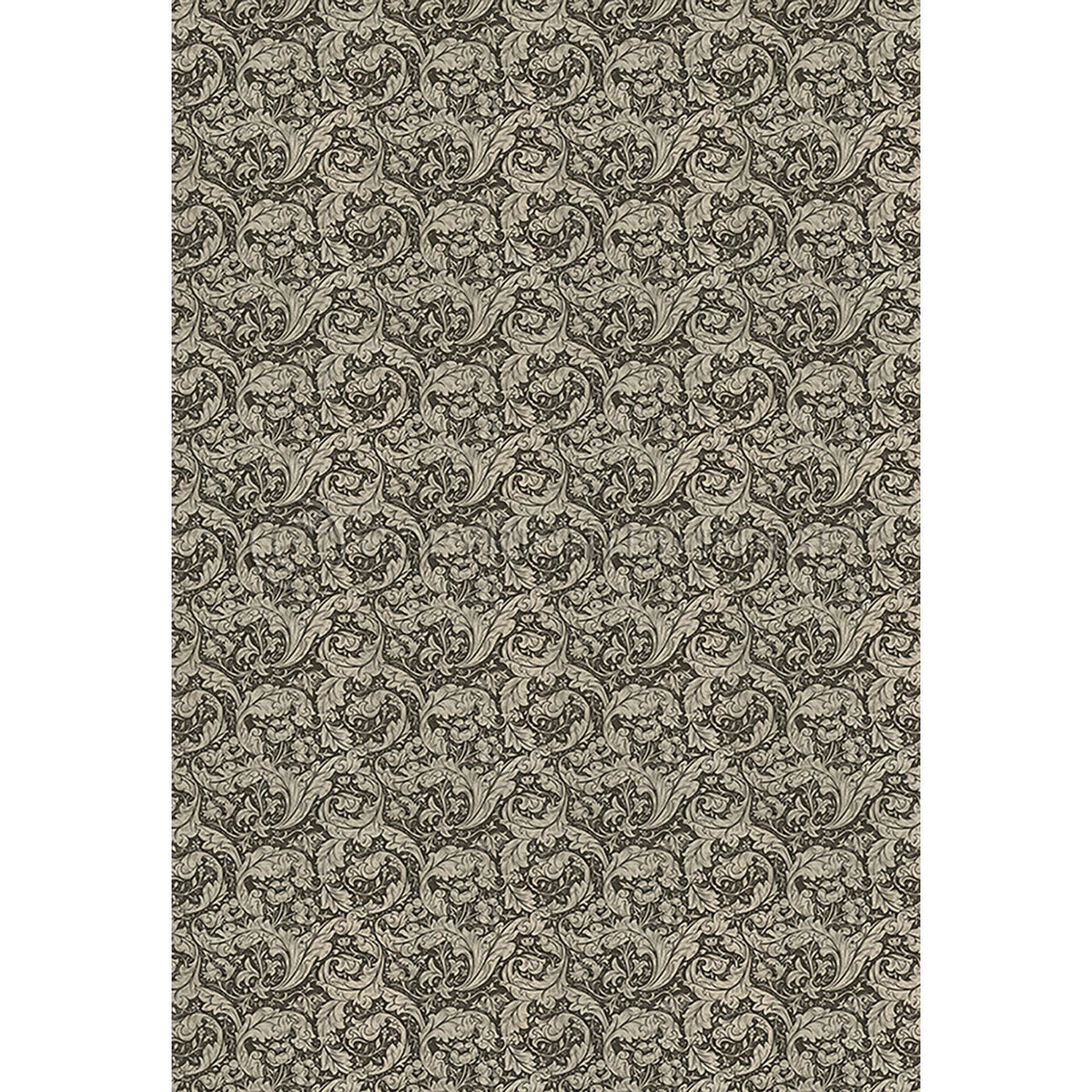 Bachelors Button Black and Linen 120x175